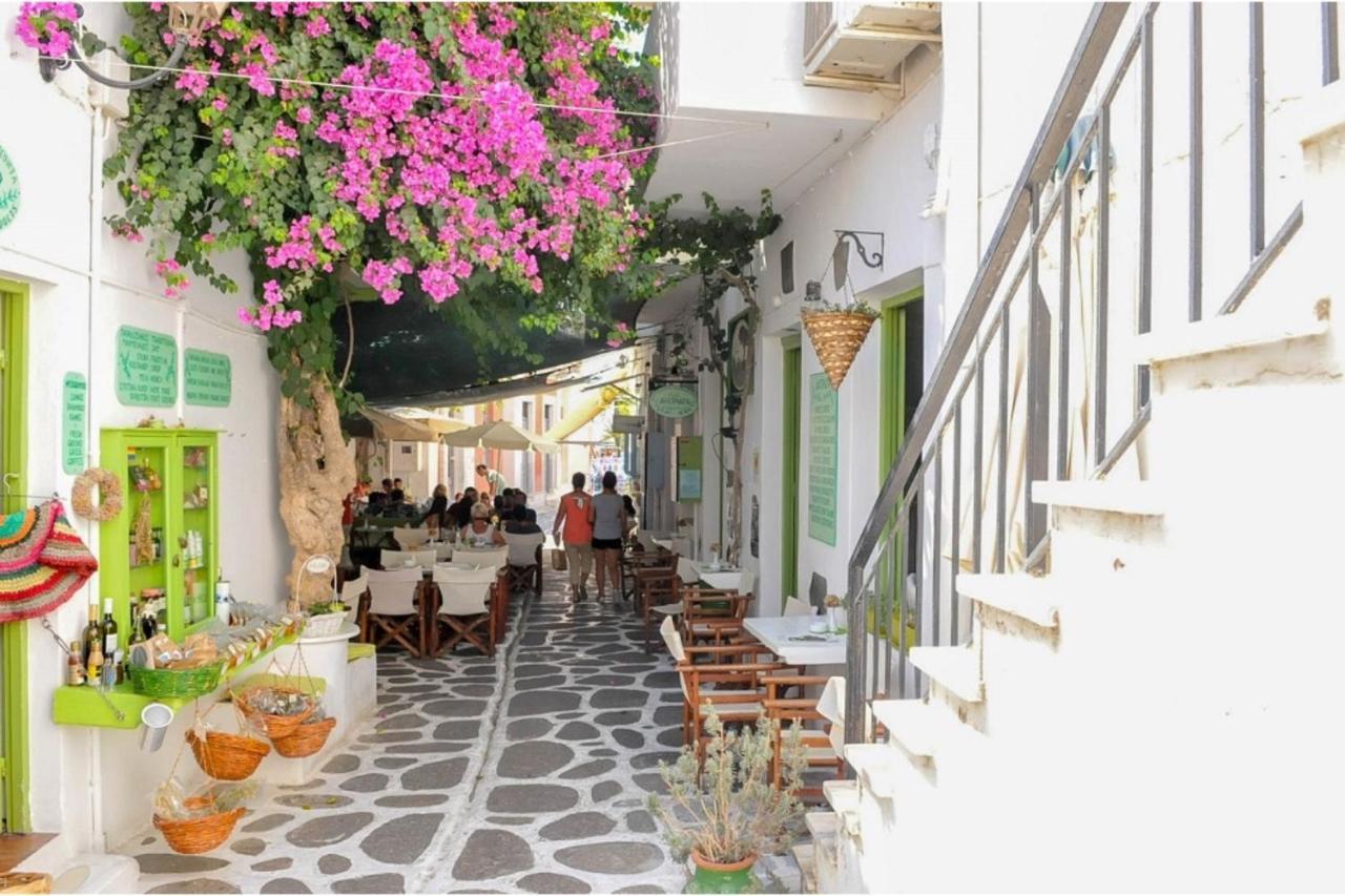 Livadia Seaside Studios 10 Páros Eksteriør bilde